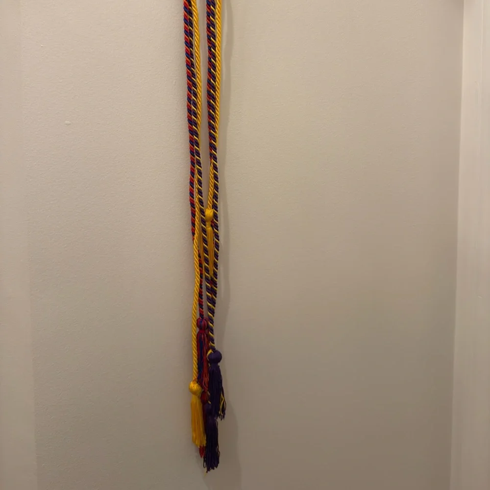 Multicolor Graduation Cords | university honor tassels cords - Picture 1 of 4